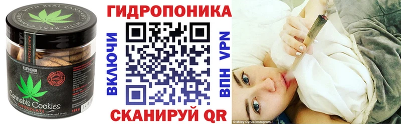 OMG ONION  Луга  Еда ТГК конопля  закладки 